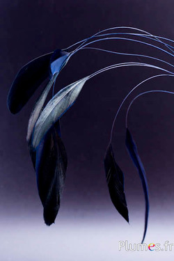 Coquetip - 28-32 cm - bleu nuit-noir